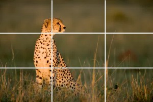 Composition Rule of Thirds