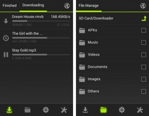 Easy Downloader Pro