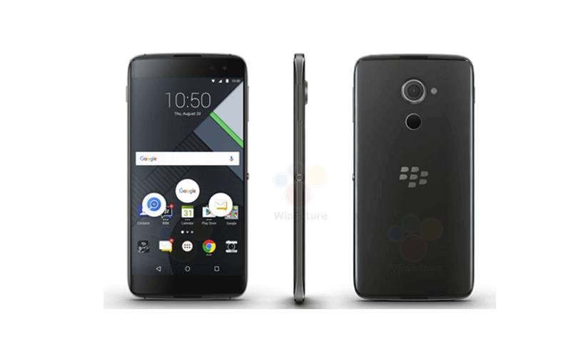 Blackberry Neon