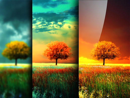 Jangan Pasang Wallpaper Live