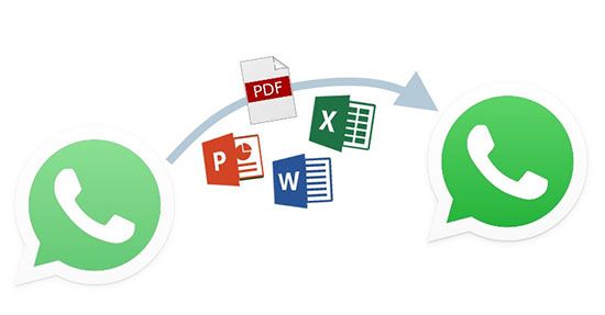 Kini Kamu Dapat Mengirim Jenis File Apapun Lewat WhatsApp Versi Terbaru