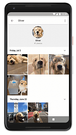 Kini Fitur Pengenalan Wajah Pada Google Photos Juga Dapat Kenali Hewan Peliharaan