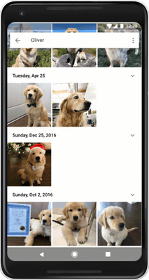 Kini Fitur Pengenalan Wajah Pada Google Photos Juga Dapat Kenali Hewan Peliharaan