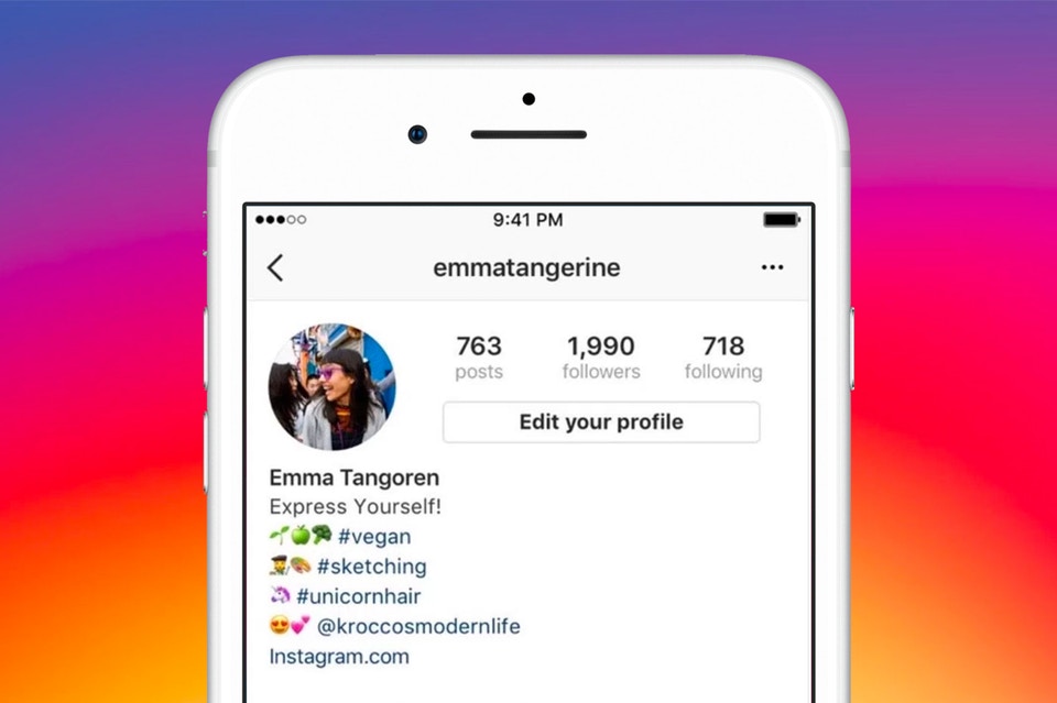 Kini Bio Instagram Dapat Ditambahkan Hashtag dan Link Profil