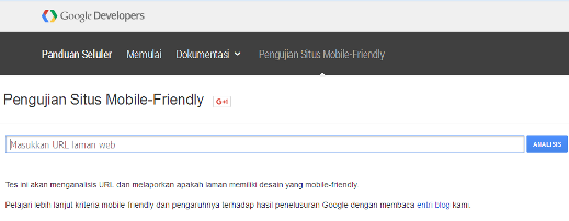 Google Mobile Friendly Test