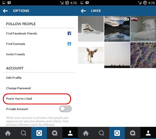 Melihat foto atau video yang pernah kamu "Like"