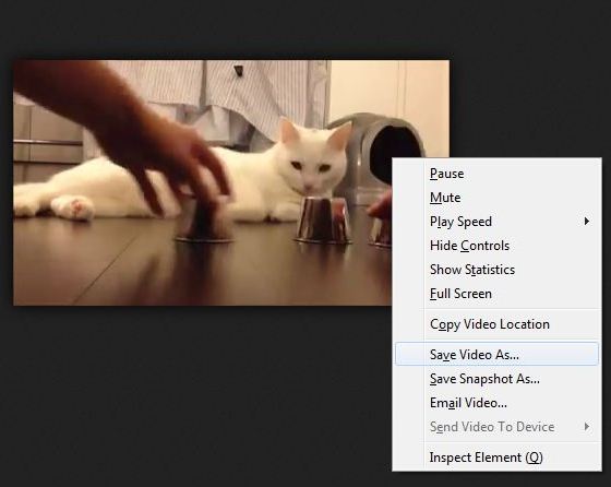 Klik kanan pada video, kemudian pilih Save Video as