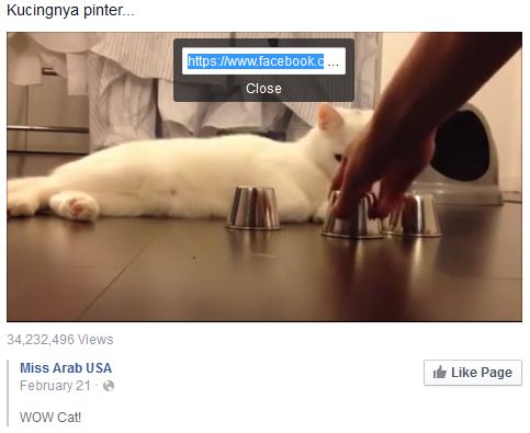 copy url